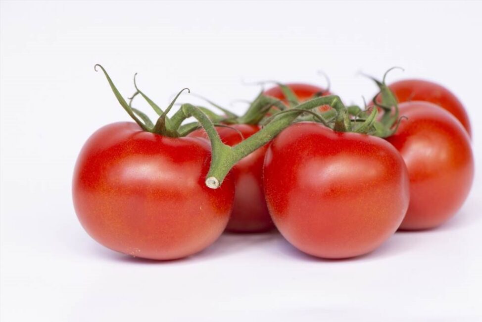 cięcie pomidorów